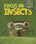 Focus on Insects cover