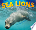 Sea Lions cover