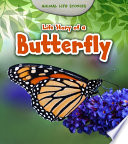 The Butterflies cover