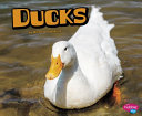 Ducks cover