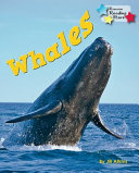 Whales cover