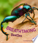 Breathtaking Beetles cover