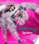Stunning Spiders cover