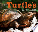 A Turtle's Life Cycle cover