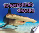 Hammerhead Sharks cover