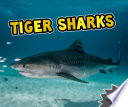 Tiger Sharks cover