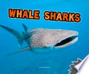 Whale Sharks cover