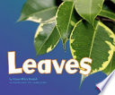 Leaves cover
