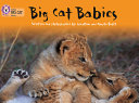 Big Cat Babies cover