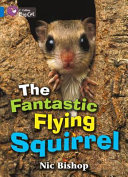 The Fantastic Flying Squirrel cover