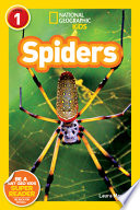 Spiders cover