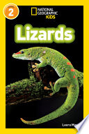 Lizards cover