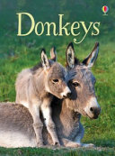 Donkeys cover