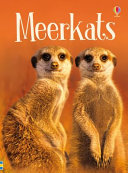 Meerkats cover