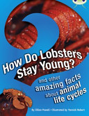 How Do Lobsters Stay Young? And Other Amazing Facts About Animal Life Cycles cover