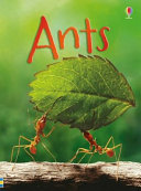 Ants cover