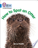 How to Spot an Otter cover