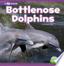 Bottlenose Dolphins cover