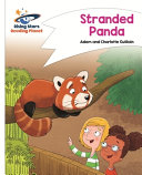 Stranded Panda cover