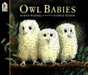 Owl Babies cover
