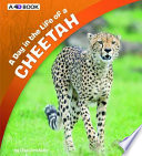 A Day in the Life of a Cheetah cover