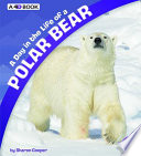 A Day in the Life of a Polar Bear cover