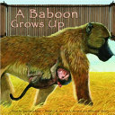 A Baboon Grows Up cover