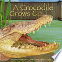 A Crocodile Grows Up cover