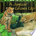 A Jaguar Grows Up cover
