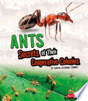 Ants: Secrets of Their Cooperative Colonies cover
