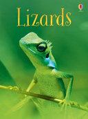 Lizards cover