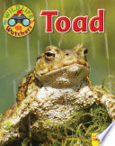 Toad cover
