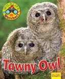 Tawny Owl cover