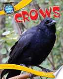Cuckoo cover