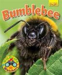 Bumblebee cover