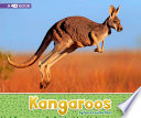Kangaroos cover