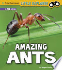 Amazing Ants cover