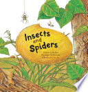 Insects and Spiders cover