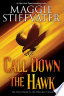Call Down the Hawk cover