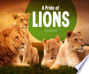 A Pride of Lions cover
