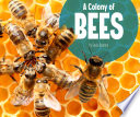 A Colony of Bees cover