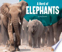 A Herd of Elephants cover