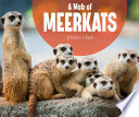 A Mob of Meerkats cover