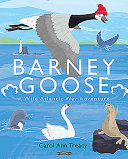 Barney Goose: A Wild Atlantic Way Adventure cover