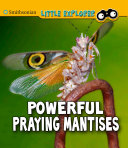 Powerful Praying Mantises cover