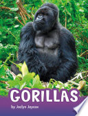 Gorillas cover
