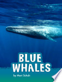 Blue Whales cover