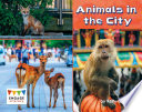 Animals in the City cover