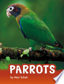 Parrots cover