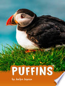 Puffins cover